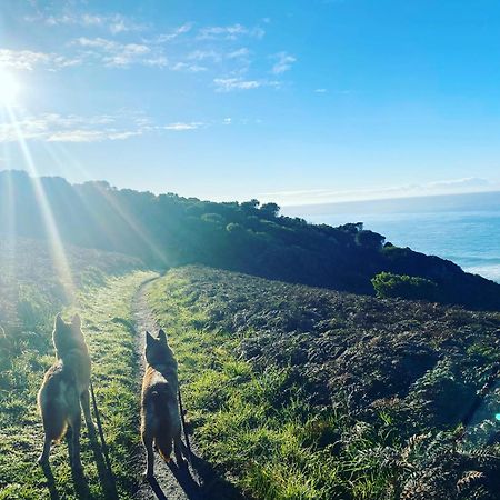 Great Ocean Road Wellness And Nature Stay อะพอลโลเบย์ ภายนอก รูปภาพ