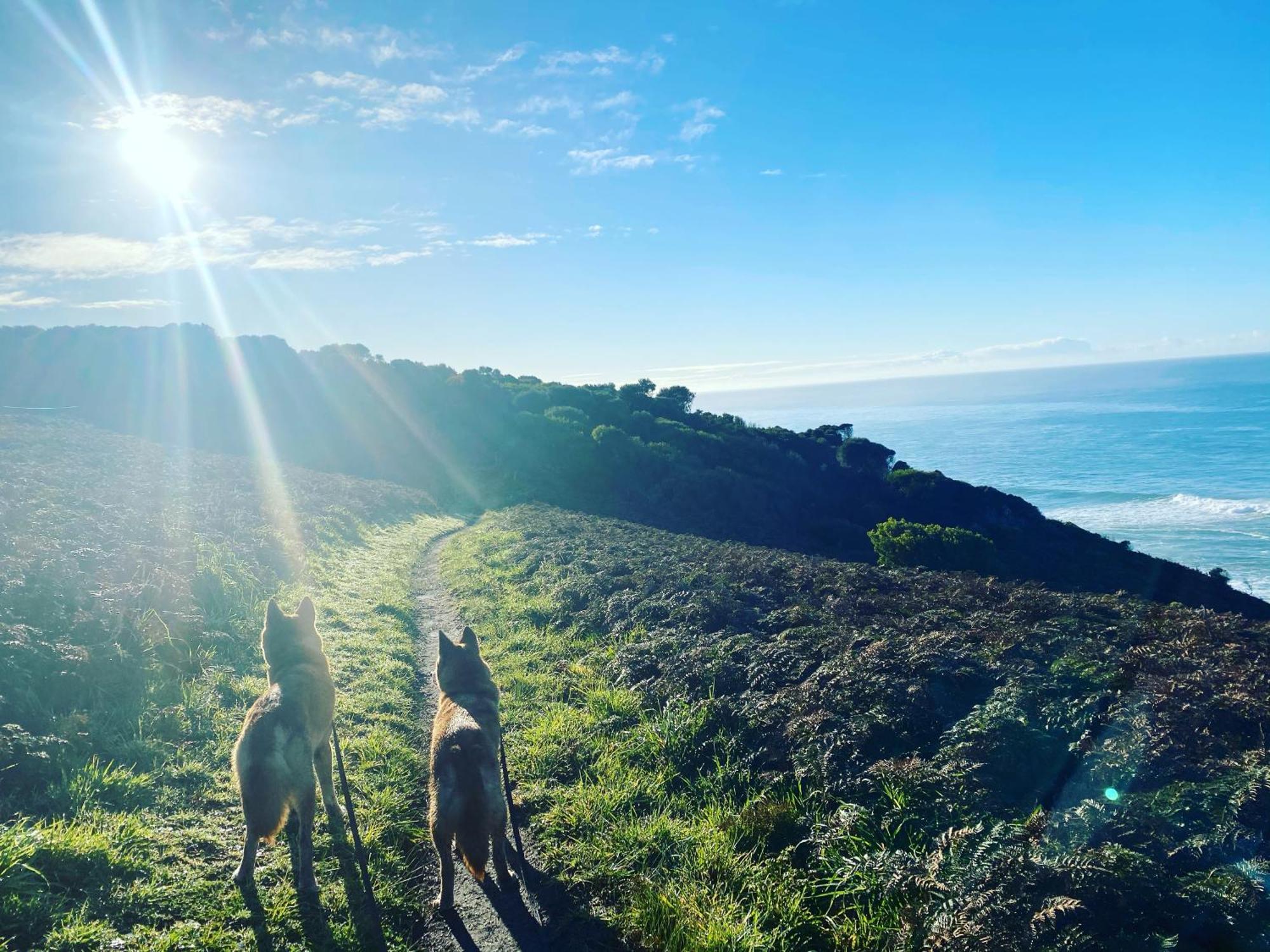 Great Ocean Road Wellness And Nature Stay อะพอลโลเบย์ ภายนอก รูปภาพ
