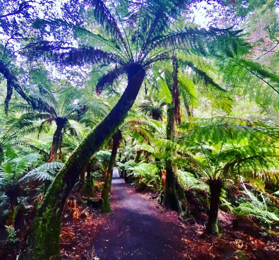 Great Ocean Road Wellness And Nature Stay อะพอลโลเบย์ ภายนอก รูปภาพ