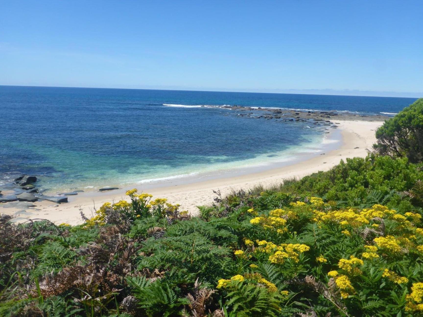 Great Ocean Road Wellness And Nature Stay อะพอลโลเบย์ ภายนอก รูปภาพ