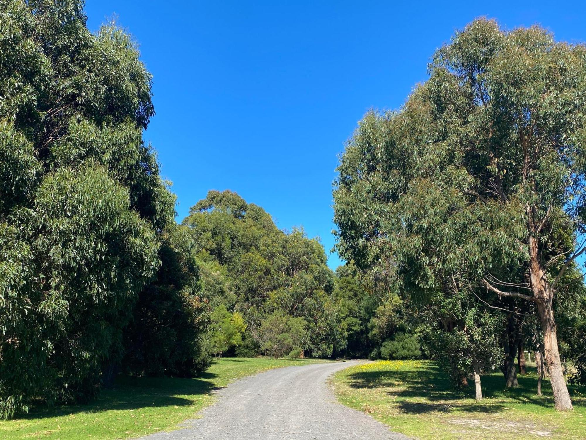 Great Ocean Road Wellness And Nature Stay อะพอลโลเบย์ ภายนอก รูปภาพ